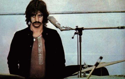 ringo at kit