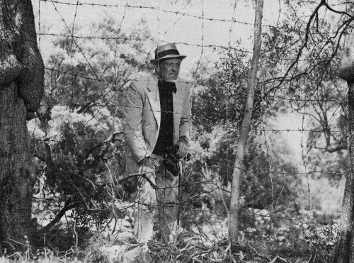 Holden in Fedora Holden in Fedora