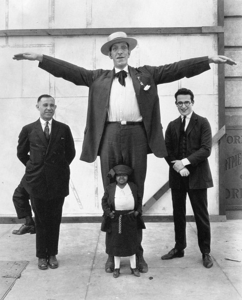 lloyd and the circus