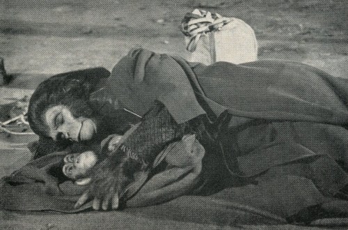 escape from the planet of the apes