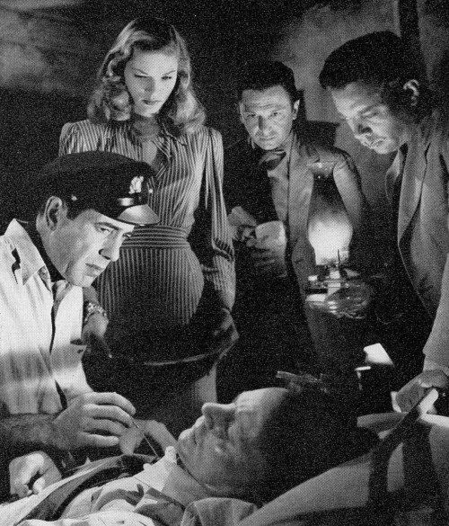 To Have and Have Not